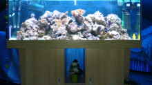 Aquarium Hauptansicht von Becken 3532