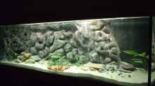Aquarium Hauptansicht von Becken 371