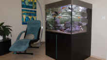 Aquarium Becken 39816