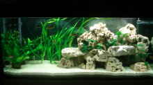 Aquarium Hauptansicht von Becken 4046
