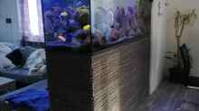 Dekoration im Aquarium Lavabruch