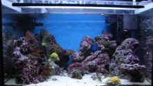 Aquarium Becken 4260
