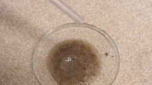 Test des Sandes mit verdünnter Salzsäure - Nichts schäumt, keine Härtebildner