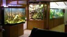 Aquarium Becken 4412