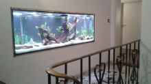 Aquarium Treppenhausseite