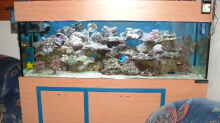 Aquarium Hauptansicht von Becken 575