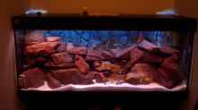 Aquarium Becken 6135