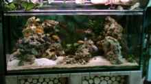 Aquarium Becken 621