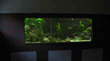 Aquarium Hauptansicht von Becken 716