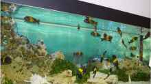 Aquarium Becken 7548