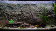 Aquarium Becken 8447
