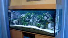 Aquarium Becken 910