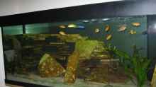 Aquarium Becken 9143