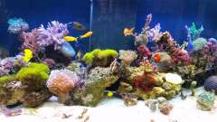 Hauptbild aus Beyond the time...