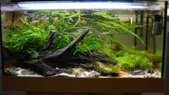 Hauptbild aus At the riverbank