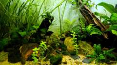 Hauptbild aus Just like a new day -aufgelöst