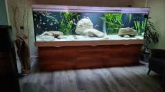 Hauptbild aus Underwaterworld