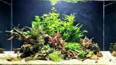 Hauptbild aus Feuerinsel