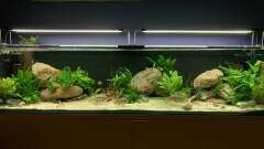 Hauptbild aus Mischmasch