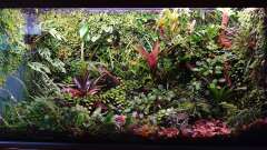 Hauptbild aus Von Asseln und Tausendfüsslern