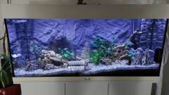 Hauptbild aus Anubien Paradies