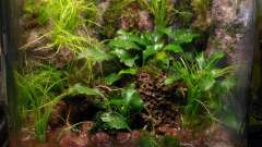 Hauptbild aus Kleine Welt