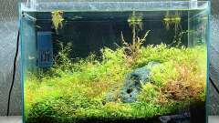 Hauptbild aus Stoned