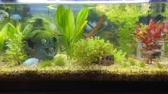 Hauptbild aus Kleines Flurbecken