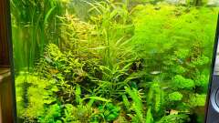 Hauptbild aus Lido 200 Südamerika