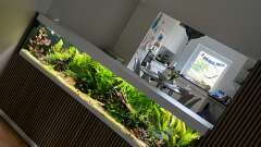 Hauptbild aus 875 Liter Südamerika-Gesellschaft