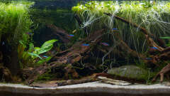 Hauptbild aus Kleines Südamerika