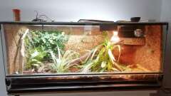 Hauptbild aus Wohnstatt von Fräulein Brunhilde von Teich