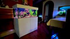 Hauptbild aus Südamerika Tank