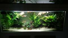 Hauptbild aus Feine Gesellschaft aus Südamerika