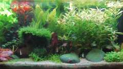 Hauptbild aus Rio 180