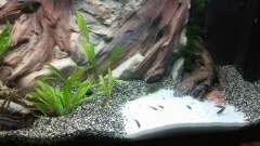 Hauptbild aus Flusslandschaft