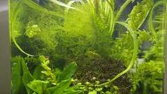 Hauptbild aus DENNERLE Nano