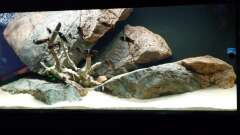 Hauptbild aus Tropheus Haus