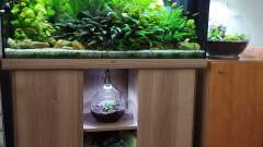 Hauptbild aus Gesellschaftsbecken Süd Ost Asien