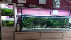 Hauptbild aus Wohnzimmeroase 2.0 ab Juni 2025