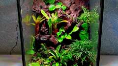 Hauptbild aus Green Cube