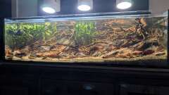 Hauptbild aus Irgendwo in Sri Lanka