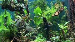 Hauptbild aus Südamerika Gemeinschaft