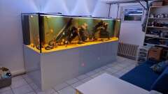 Hauptbild aus Amazonas im Keller