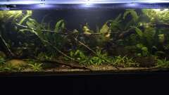 Hauptbild aus Back to the roots - Restart