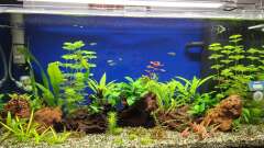 Hauptbild aus Projekt 2025