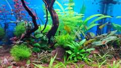 Hauptbild aus Projekt 2025