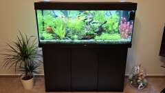 Hauptbild aus Mein kleiner Dschungel