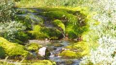 Hauptbild aus Hardangervidda