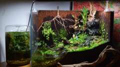 Hauptbild aus Hardangervidda